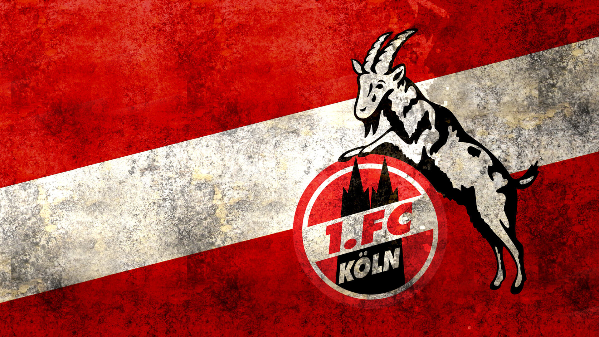FC Koln continues training amid Covid19