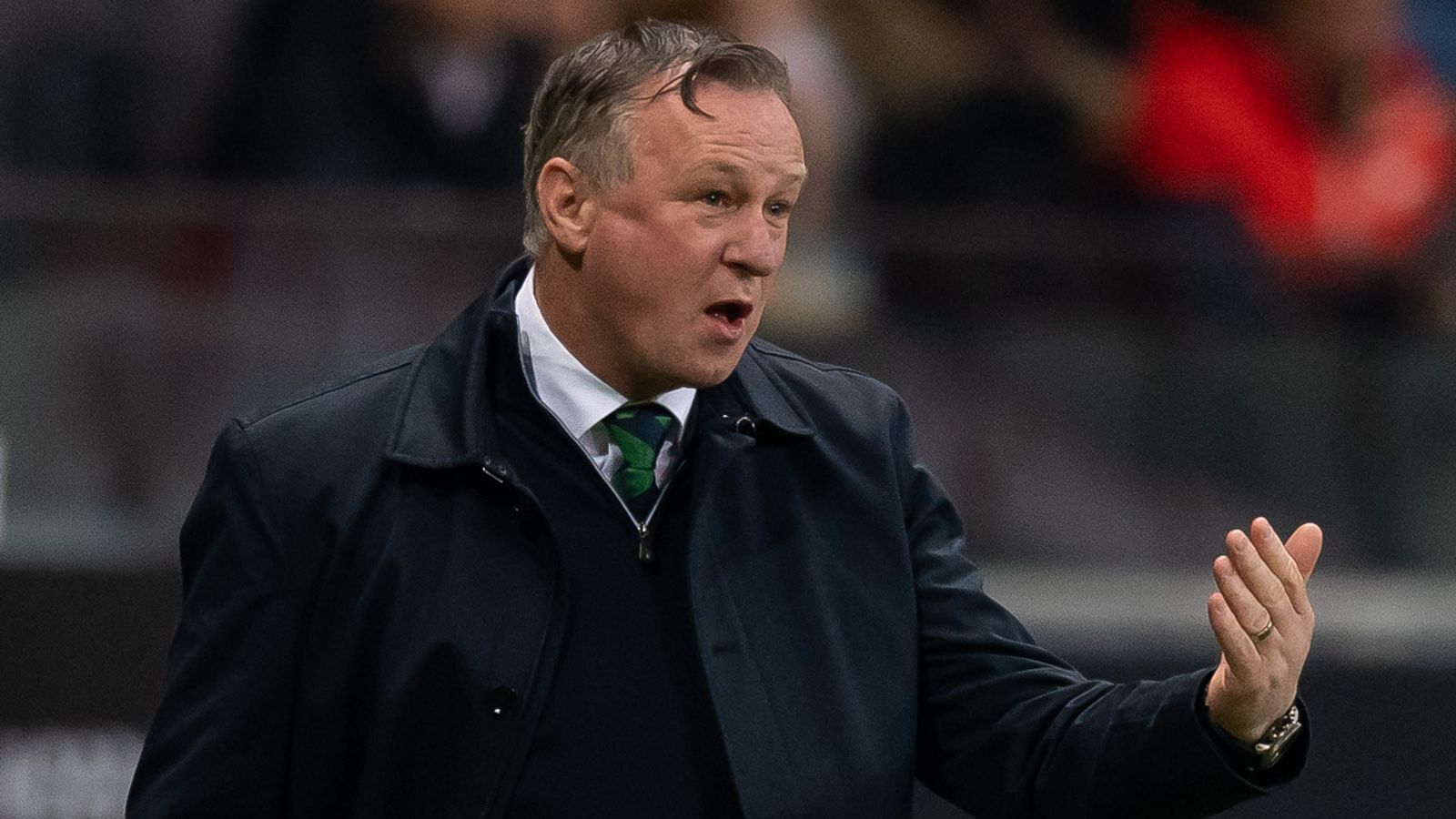 Michael O’Neill to undergo a period of isolation