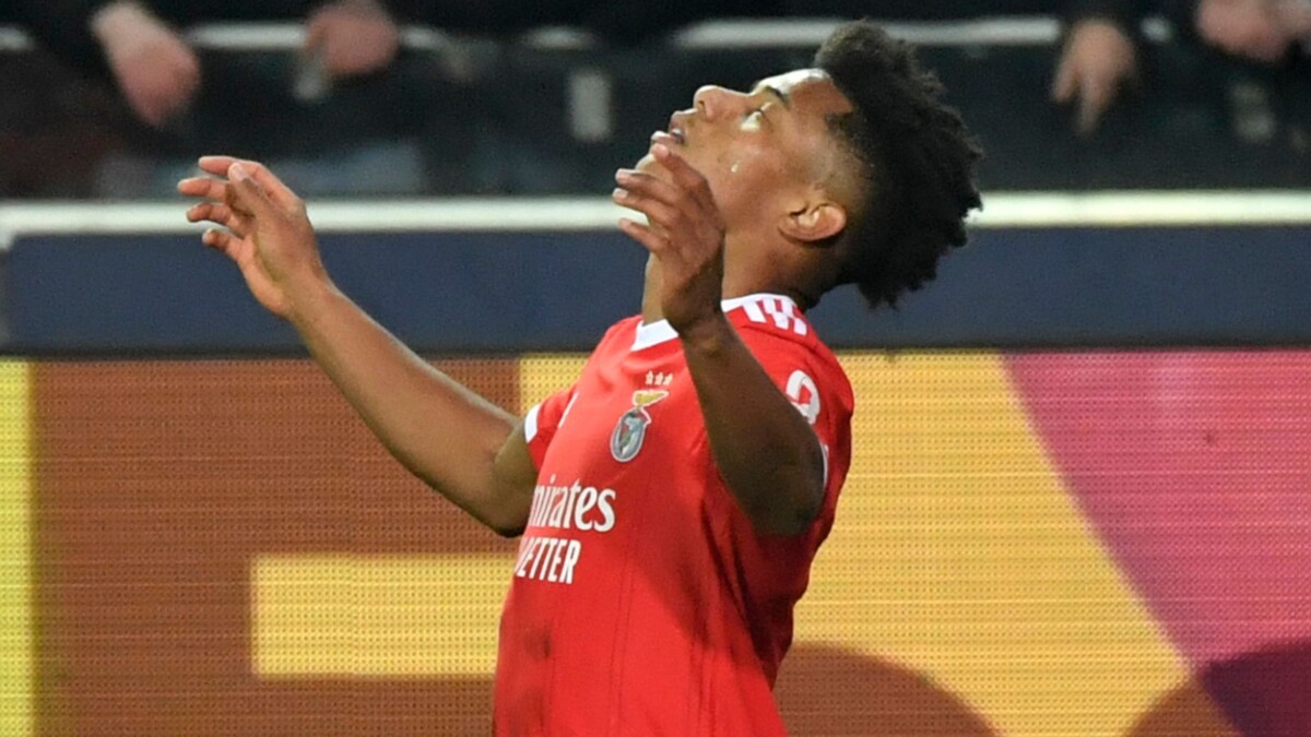 Football Scores: Club Brugge 0-2 Benfica